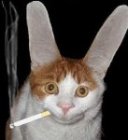 Avatar de l’utilisateur